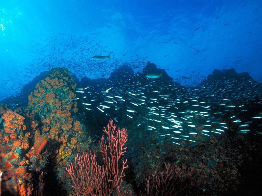 Los Roques Reef - soon to allow fishing ©  SW